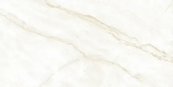 Arke Sample - Arke Bone 24x48 Matte Porcelain Tile