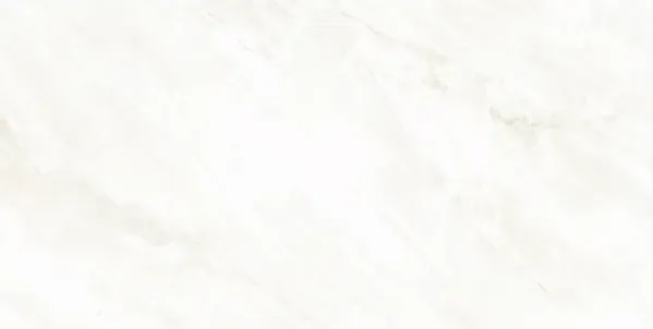 Arke Sample - Arke Bone 24x24 Matte Porcelain Tile