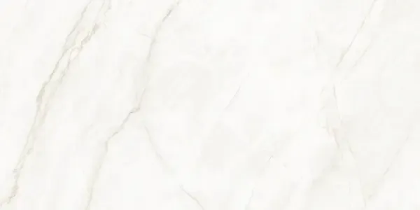 Arke Sample - Arke Bone 24x48 Polished Porcelain Tile