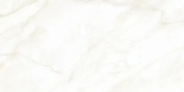 Sample - Arke Bone 24x48 Polished Porcelain Tile