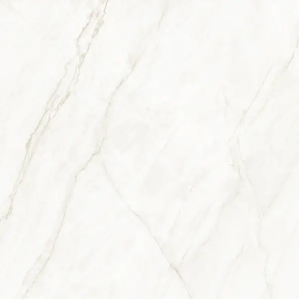 Arke Sample - Arke Bone 48x48 Matte Porcelain Tile