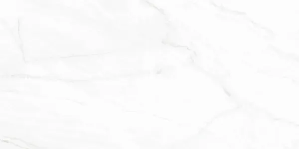 Arke White 12x24 Matte Porcelain Tile