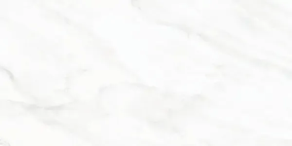 Arke Sample - Arke White 12x24 Matte Porcelain Tile