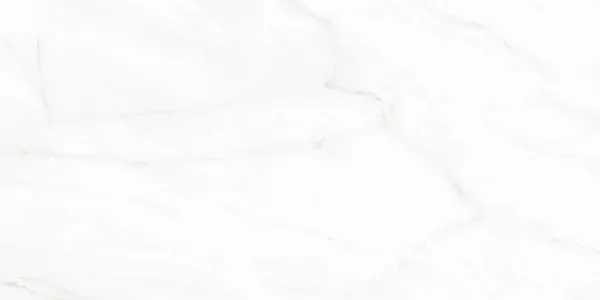 Sample - Arke White 12x24 Matte Porcelain Tile