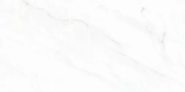 Arke Sample - Arke White 24x48 Matte Porcelain Tile