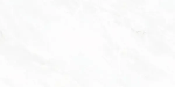 Sample - Arke White 24x48 Matte Porcelain Tile