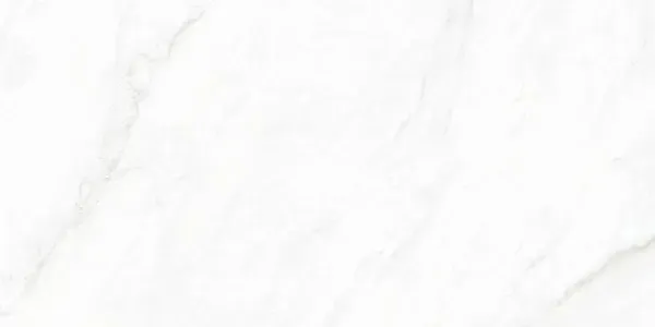 Arke White 24x48 Sugar Polished Porcelain Tile