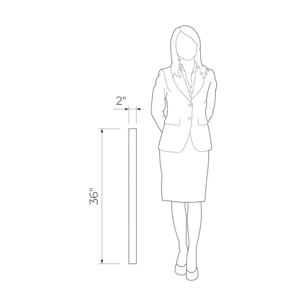 Black Pulpis 1 2x36 Black Polished Strip