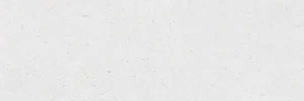 Bloom Linen White 12x36 Matte Ceramic Wall Tile