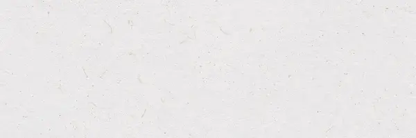 Bloom Linen White 12x36 Matte Ceramic Wall Tile