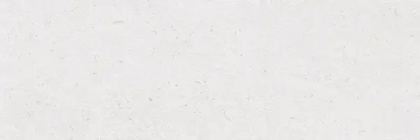 Bloom Sample - Bloom Linen White 12x36 Matte Ceramic Wall Tile