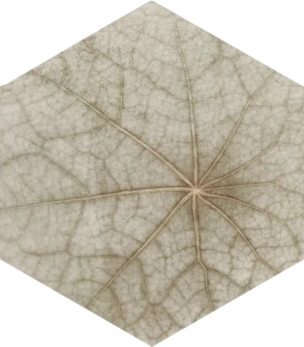 Bloom Multicolor 5x6 Semi - Matte Hexagon Ceramic Wall Tile