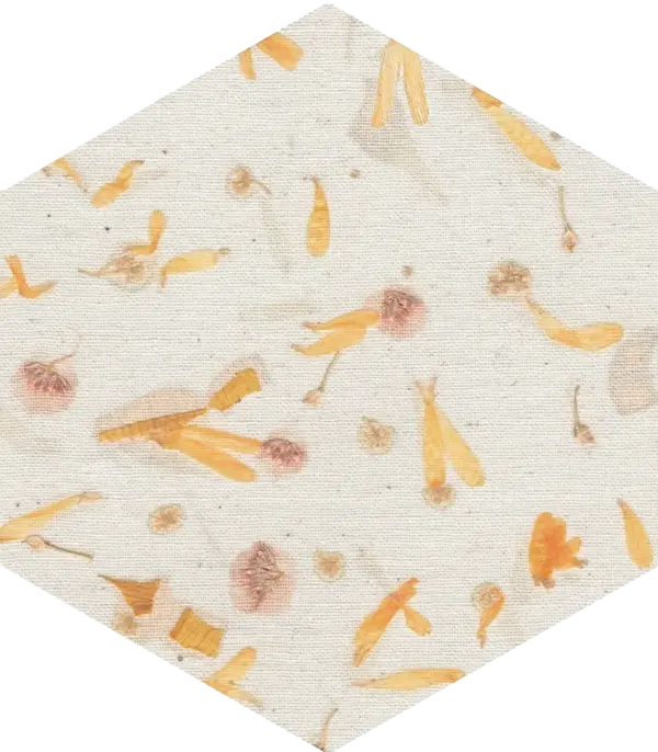 Sample - Bloom Multicolor 5x6 Semi - Matte Hexagon Ceramic Wall Tile