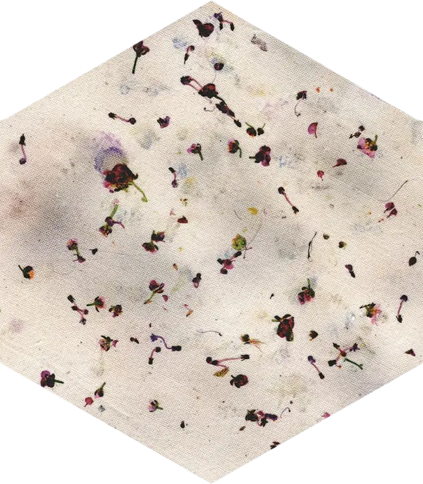 Sample - Bloom Multicolor 5x6 Semi - Matte Hexagon Ceramic Wall Tile