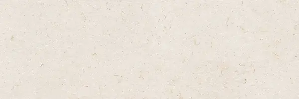 Bloom Sample - Bloom Natural 12x36 Matte Ceramic Wall Tile