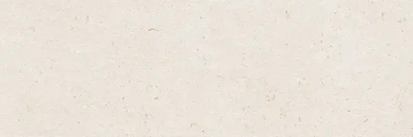 Sample - Bloom Natural 12x36 Matte Ceramic Wall Tile