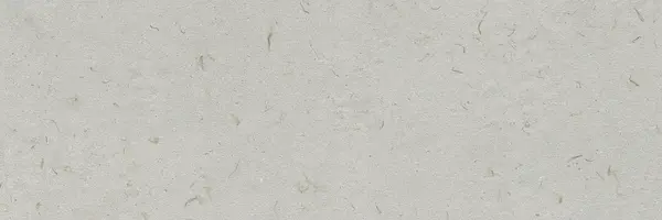 Bloom Sap 12x36 Matte Ceramic Wall Tile