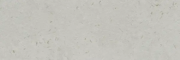 Bloom Sap 12x36 Matte Ceramic Wall Tile