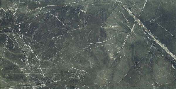 Elba Leaves Elba green