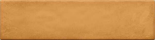 Masovia Sample - Masovia Senape 