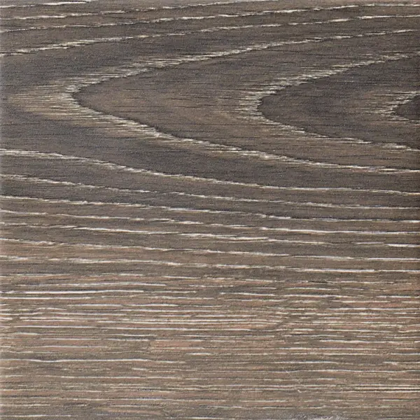 Patch Brown 8x8 Matte Porcelain Tile