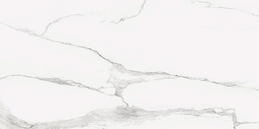 Bonella Sample - Bonella White 24X48 Matte Porcelain Tile
