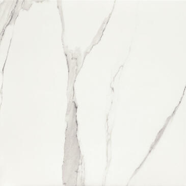 Bonella Sample - Bonella White 24x24 Matte Porcelain Tile