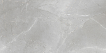 Brainstorm Sample - Brainstorm Gray 24x48 Lappato Porcelain Floor and Wall Tile