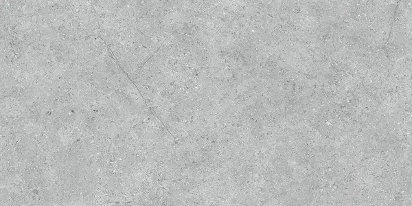 Nark Sample - Nark Gray 24x48 Matte Porcelain Tile