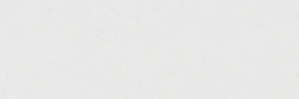 Torino Sample - Torino White 12x36 Semi-Matte Ceramic Wall Tile