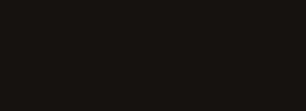 Stardust Black 13x36 Glossy Ceramic Wall Tile