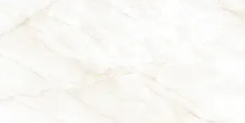 Arke Bone 12x24 Polished Porcelain Tile