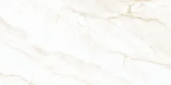 Arke Bone 12x24 Polished Porcelain Tile