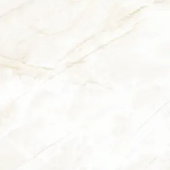 Arke Bone 12x24 Matte Porcelain Tile