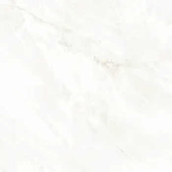 Arke Bone 24x24 Matte Porcelain Tile