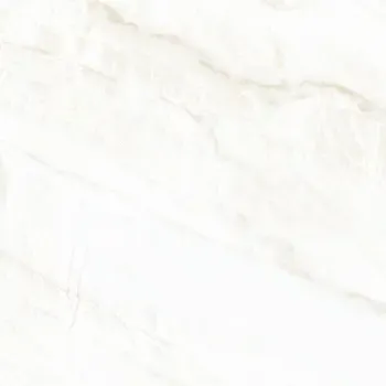 Arke Bone 24x24 Matte Porcelain Tile