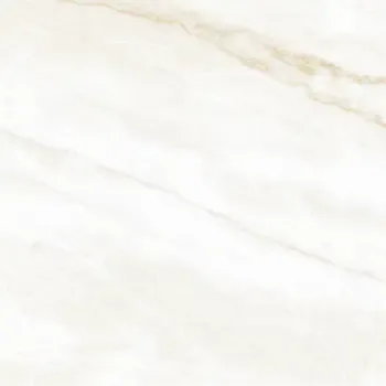 Arke Bone 24x24 Matte Porcelain Tile