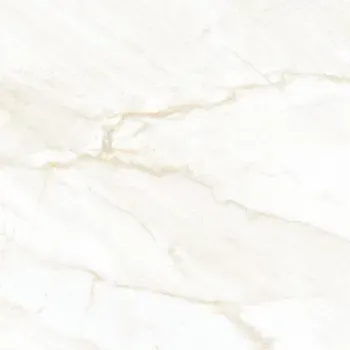 Arke Bone 24x24 Polished Porcelain Tile