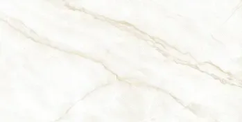 Arke Bone 24x48 Matte Porcelain Tile