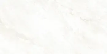 Arke Bone 24x48 Matte Porcelain Tile