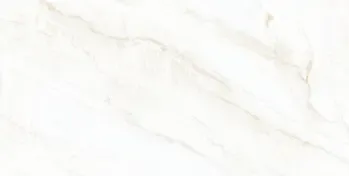 Arke Bone 24x48 Matte Porcelain Tile