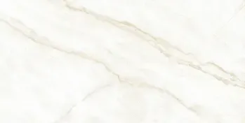 Sample - Arke Bone 24x48 Matte Porcelain Tile