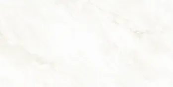 Sample - Arke Bone 24x48 Matte Porcelain Tile