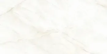 Sample - Arke Bone 24x24 Matte Porcelain Tile