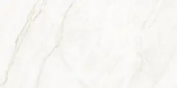 Arke Bone 24x48 Polished Porcelain Tile