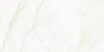 Sample - Arke Bone 24x48 Polished Porcelain Tile