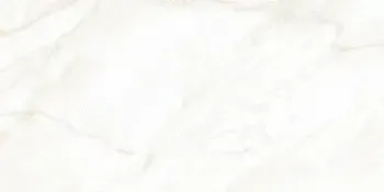 Sample - Arke Bone 24x48 Polished Porcelain Tile