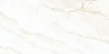 Sample - Arke Bone 24x48 Polished Porcelain Tile