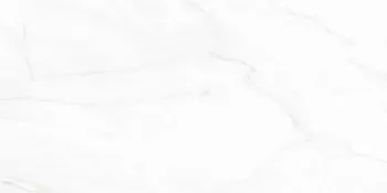 Arke White 12x24 Matte Porcelain Tile