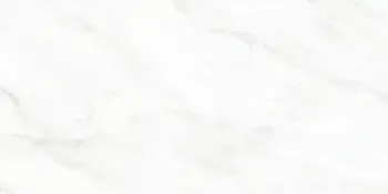 Sample - Arke White 12x24 Matte Porcelain Tile